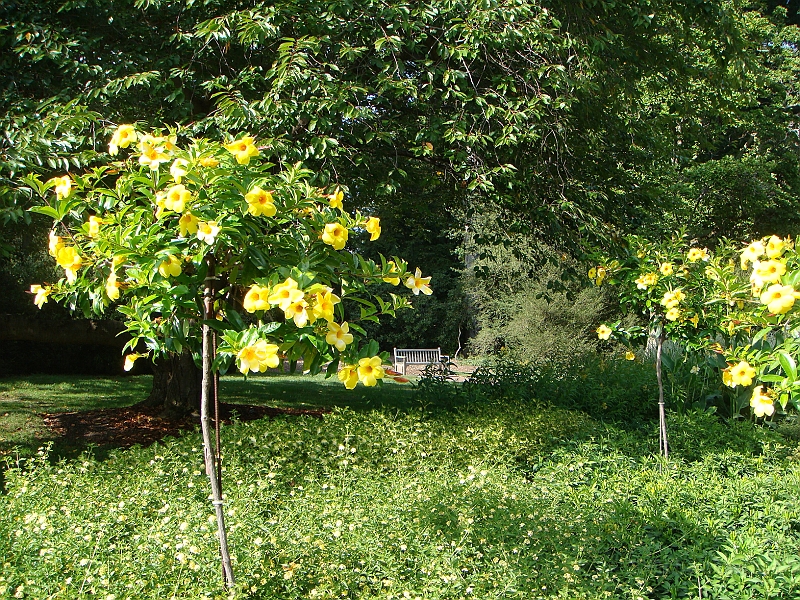 207 Longwood Gardens [2008 August 23].JPG - Longwood Gardens in Pennsylvania